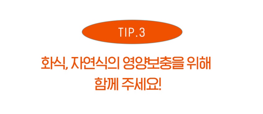 [무료배송] 오래오래프로젝트 초대용량 줄줄이스틱 촉촉 명태 14개입 11번째
