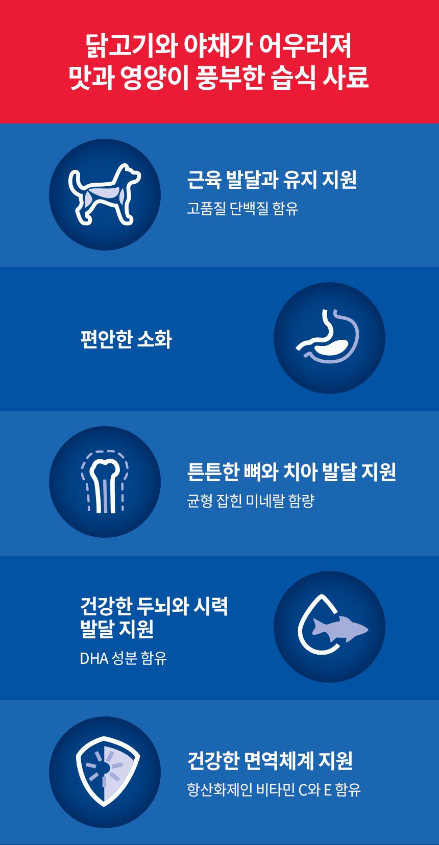 힐스 독 퍼피 치킨&채소 스튜 363g 2번째