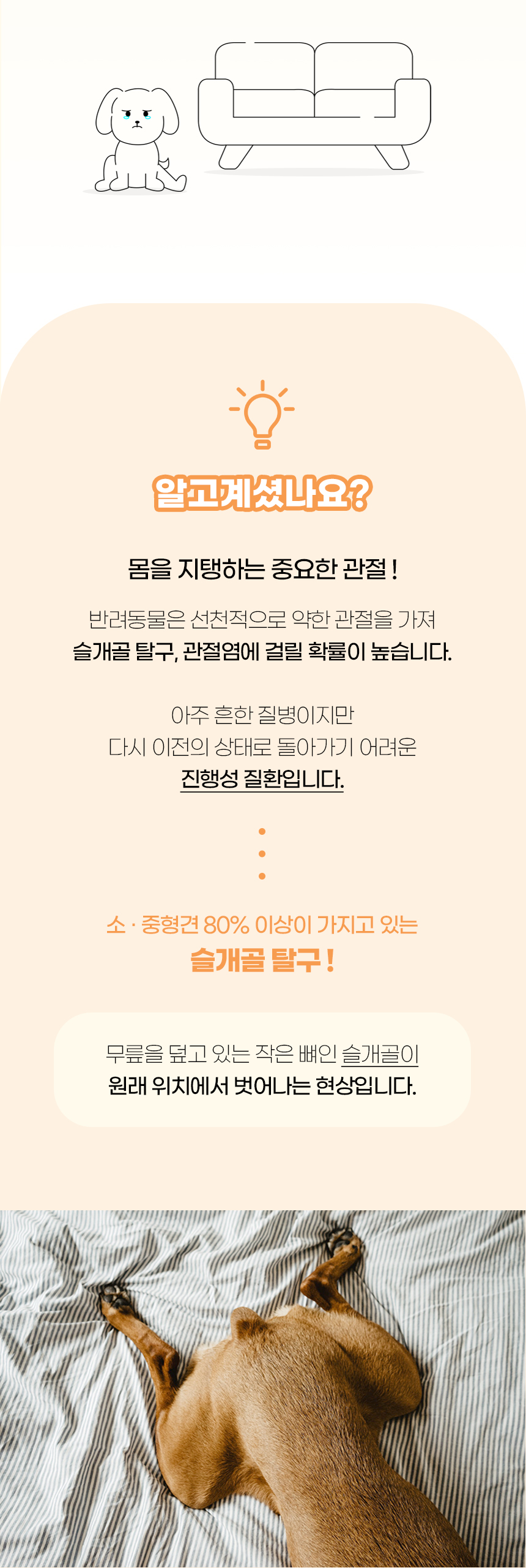 [NEW신상][무료배송] 개과천선 독 시트커 펫스텝 계단 (그레이 아이보리/그레이 블루) 2번째