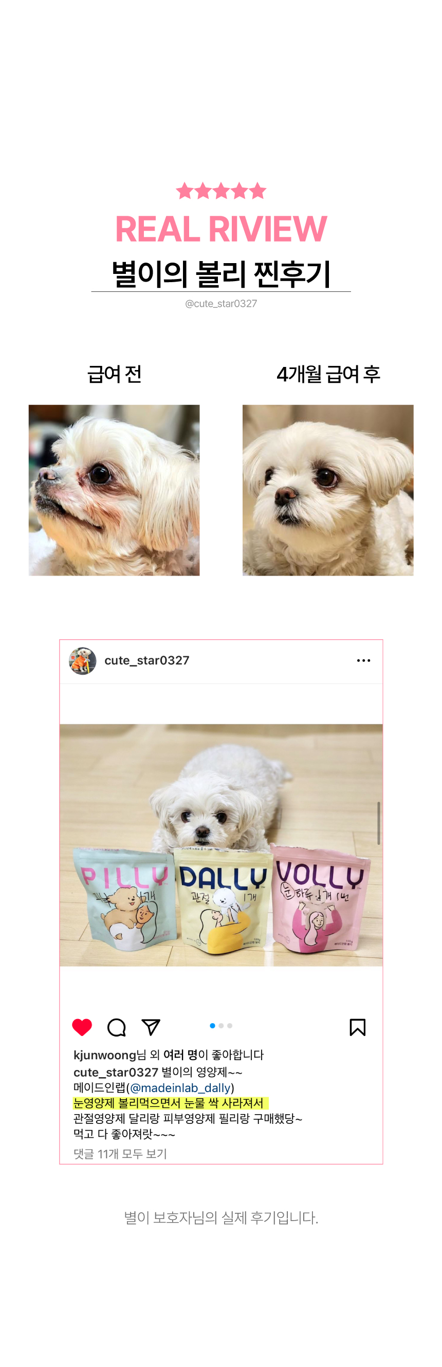 [NEW신상][무료배송] 메이드인랩 볼리 강아지 오메가3 눈 영양제 100정 1번째