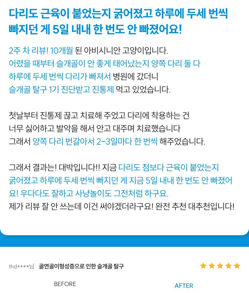 [무료배송] 꼬잇 캣 관절 브이레이 프로 케어 패키지(1구) 10번째