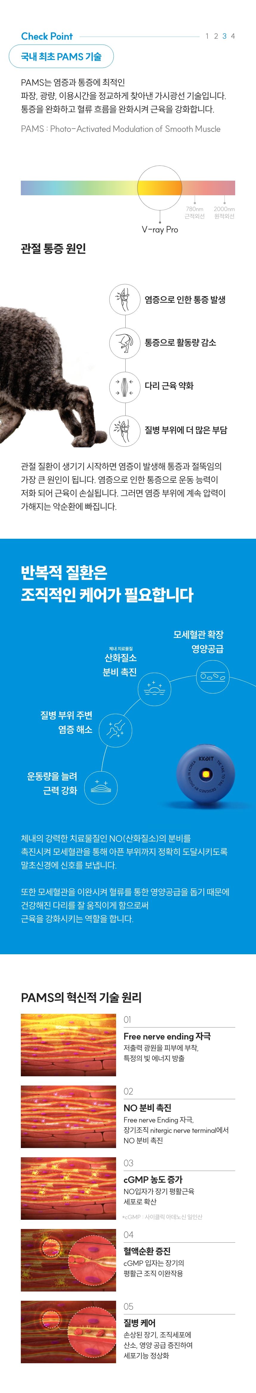 [무료배송] 꼬잇 캣 관절 브이레이 프로 케어 패키지(1구) 18번째
