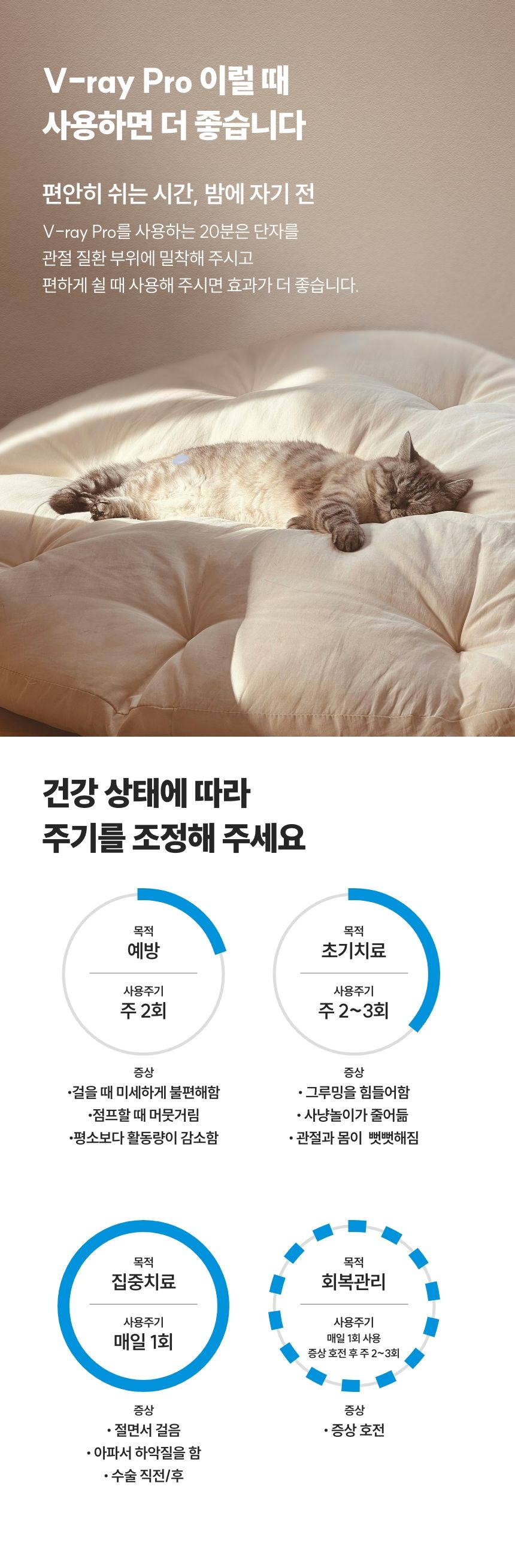 [무료배송] 꼬잇 캣 관절 브이레이 프로 케어 패키지(1구) 22번째
