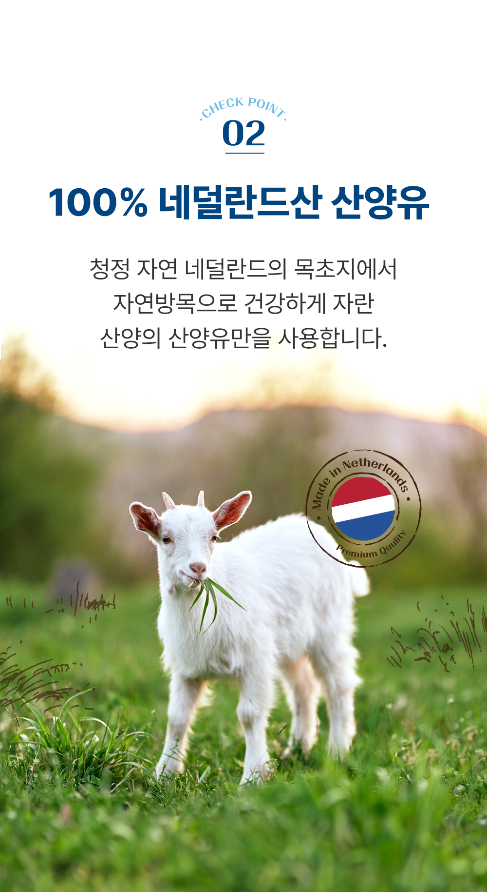 [NEW신상]조공 네덜란드 산양유 양갱 관절 8g*4p 9번째