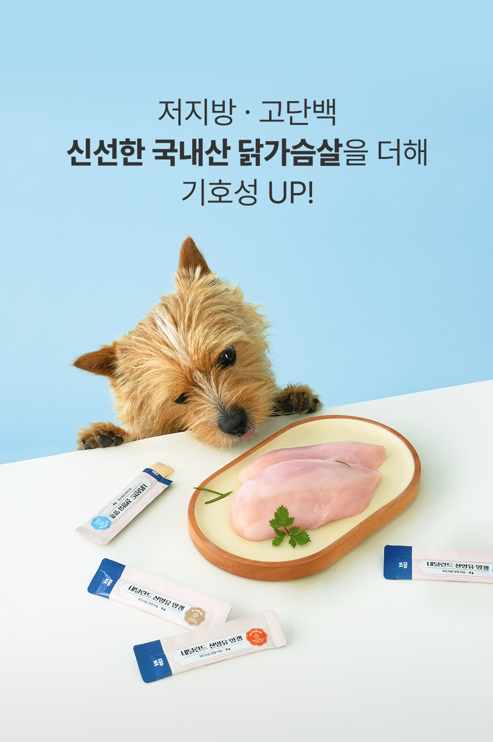 [NEW신상]조공 네덜란드 산양유 양갱 관절 8g*4p 13번째