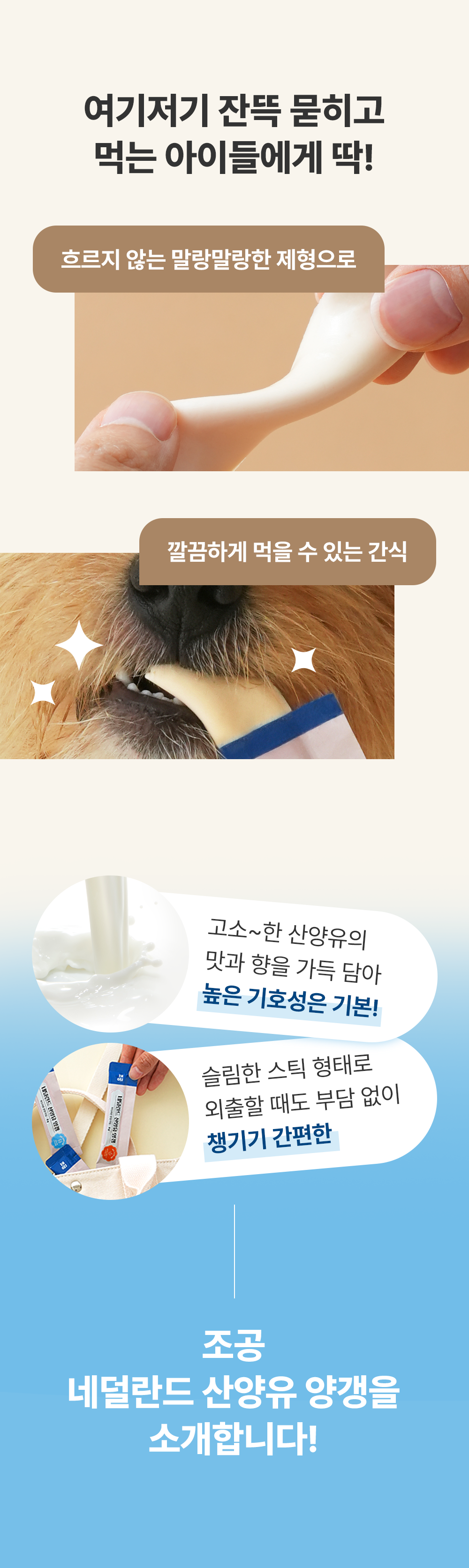 [NEW신상]조공 네덜란드 산양유 양갱 관절 8g*4p 2번째