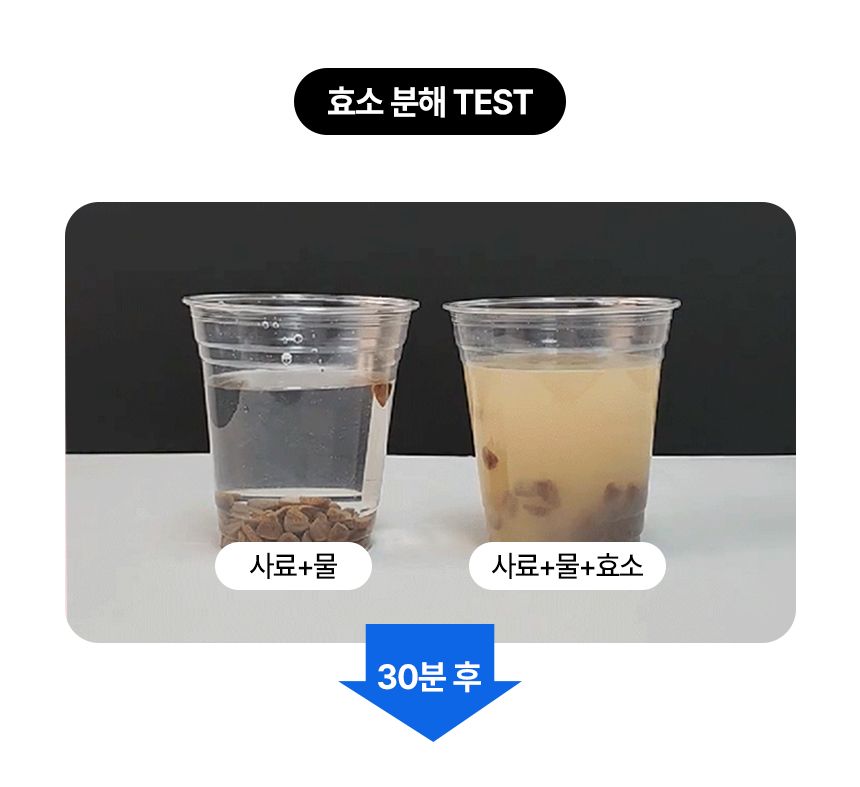 펫생각 독 하루치카 스틱츄 덴탈껌 (갈퀴형) 14개입 14번째