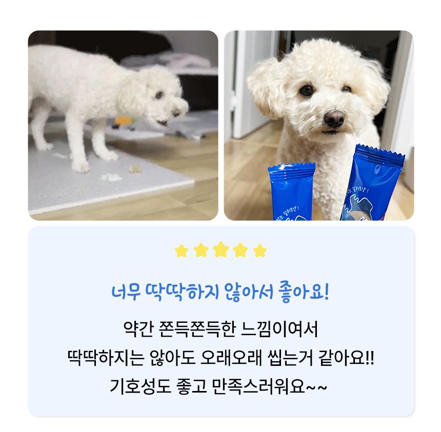 펫생각 독 하루치카 스틱츄 덴탈껌 (갈퀴형) 14개입 7번째