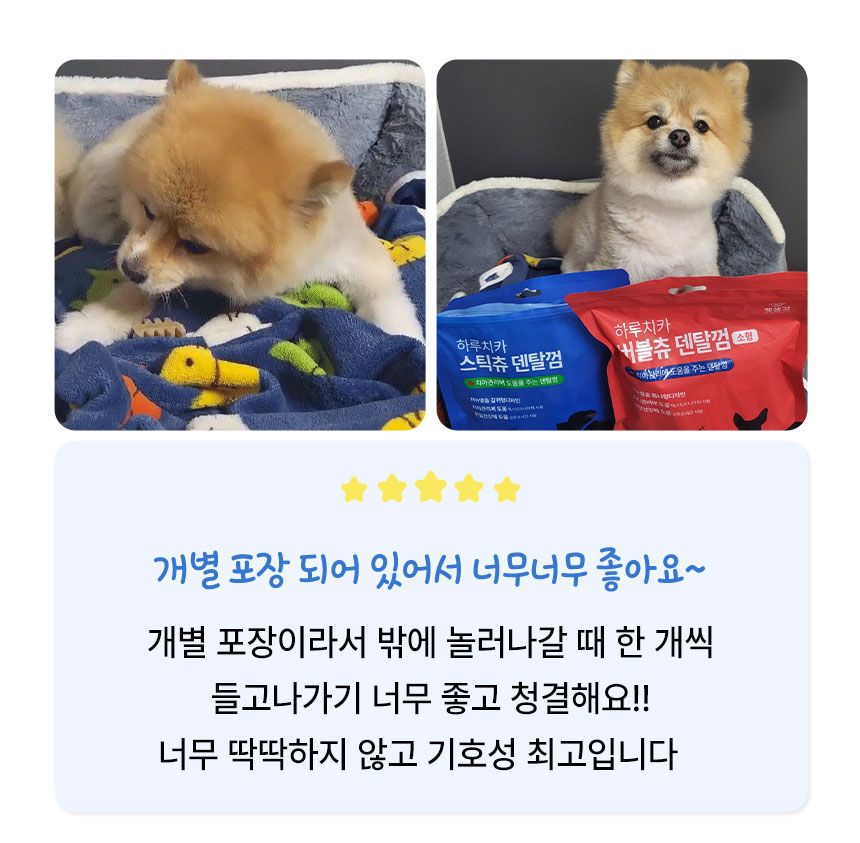 펫생각 독 하루치카 스틱츄 덴탈껌 (갈퀴형) 14개입 6번째