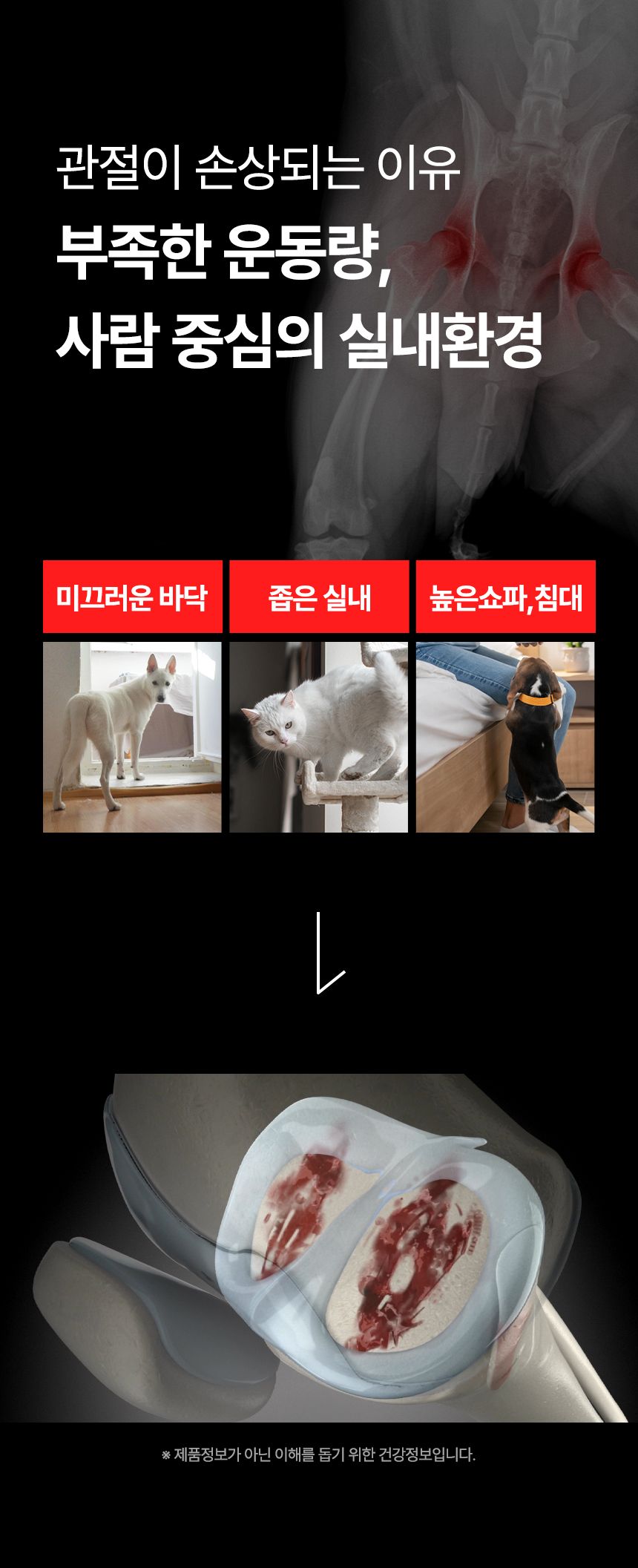 [심쿵펫페어]펫생각 데일리케얼 조인트 PRO 관절 영양제 60캡슐 8번째