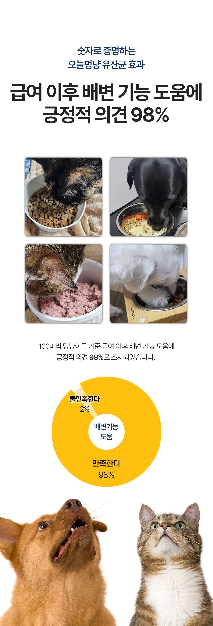 [유통기한임박, 26년3월25일] 오늘멍냥 유산균 프로바이오틱스 60g 6번째