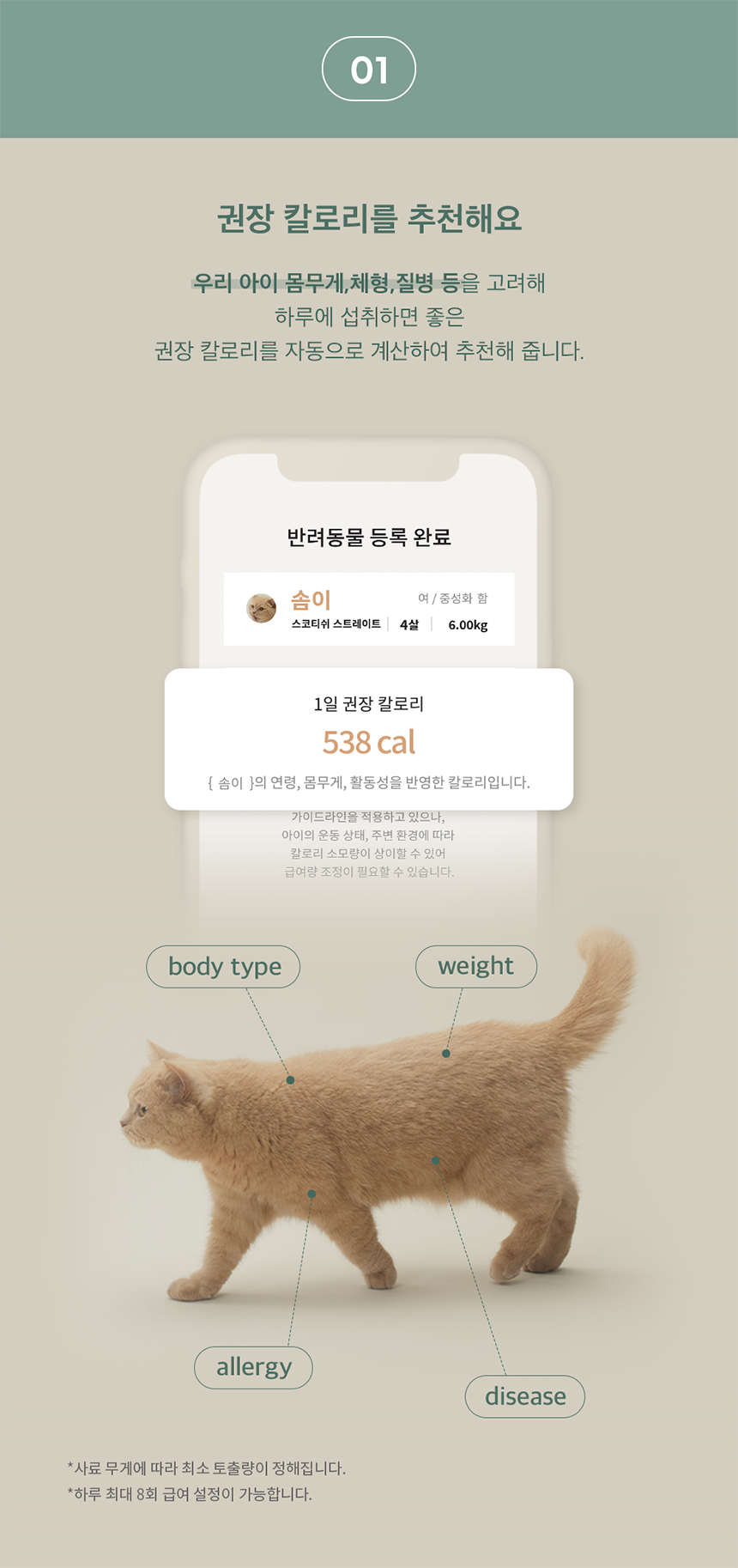 [무료배송] 두잇 더테이블 플러스 자동급식기 S/M + 우드 다리 10번째