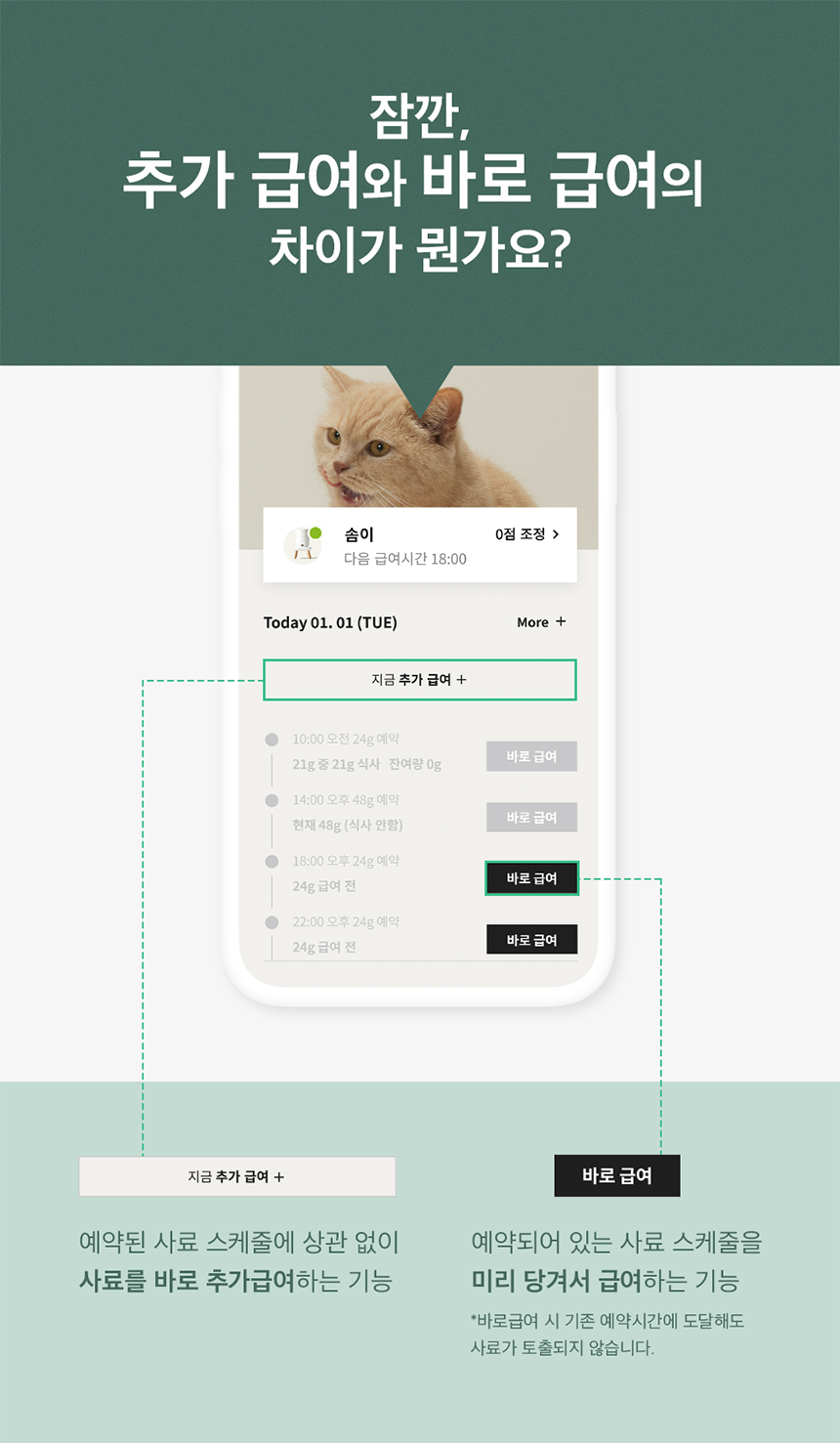 [무료배송] 두잇 더테이블 플러스 자동급식기 S/M + 우드 다리 16번째