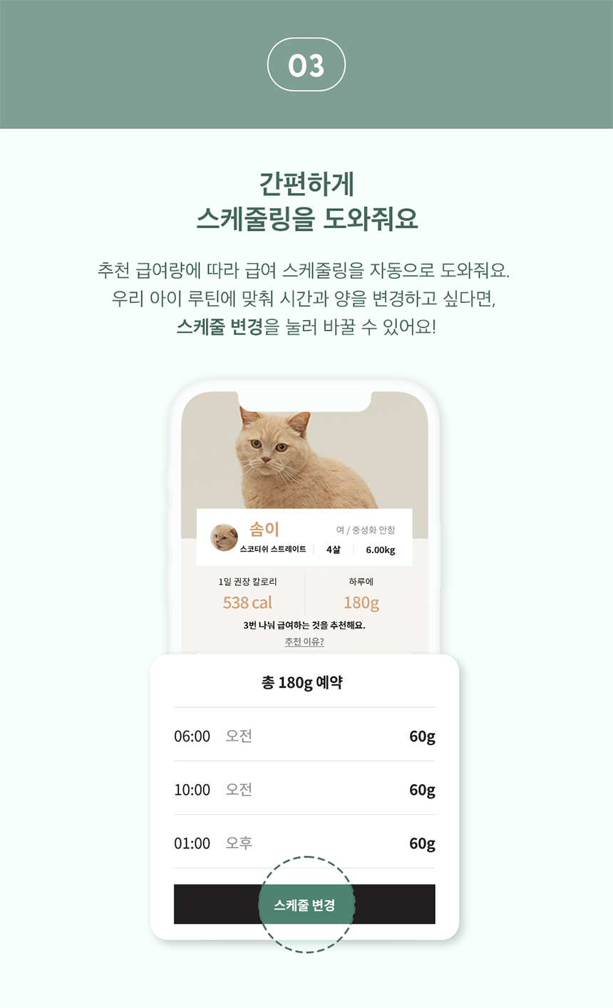 [무료배송] 두잇 더테이블 플러스 자동급식기 S/M + 우드 다리 12번째