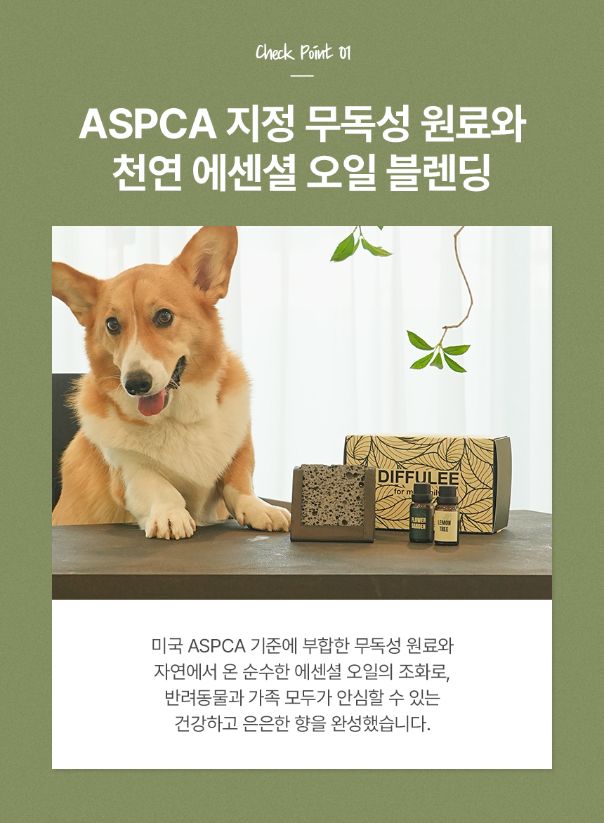 [NEW신상][무료배송] 디퓨리 댕냥이 안심 스톤디퓨저 플라워가든(장미) 6번째