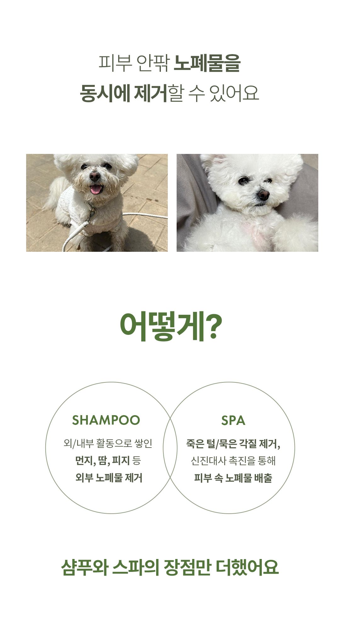 [체험단][무료배송] 올더퍼리 독 어반 그리너리 컴포팅 스파 샴푸 300ml 4번째