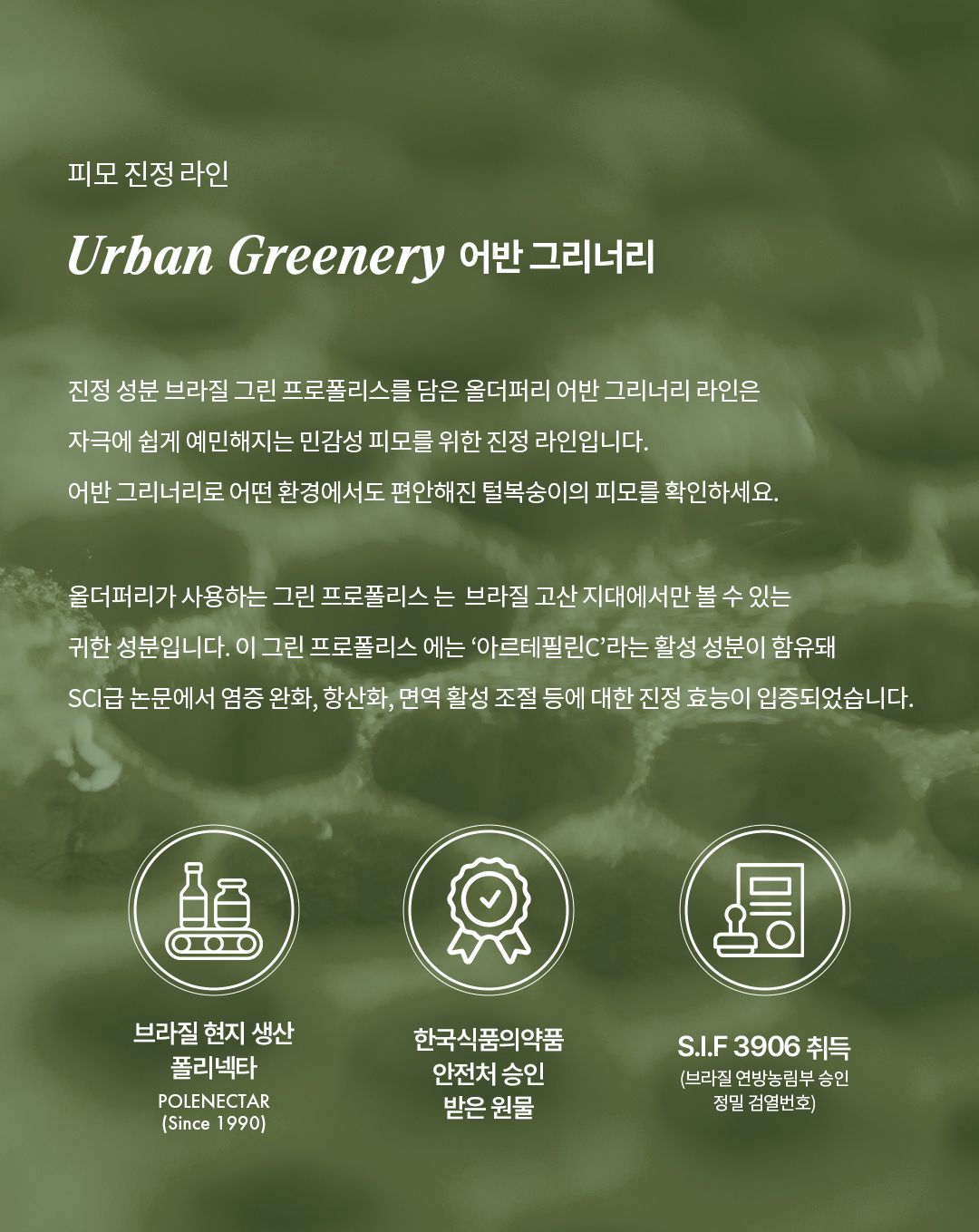 [체험단][무료배송] 올더퍼리 독 어반 그리너리 컴포팅 스파 샴푸 300ml 11번째