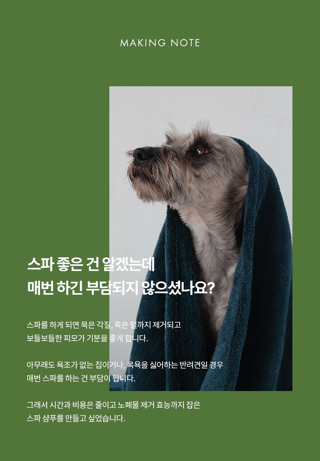 [체험단][무료배송] 올더퍼리 독 어반 그리너리 컴포팅 스파 샴푸 300ml 1번째