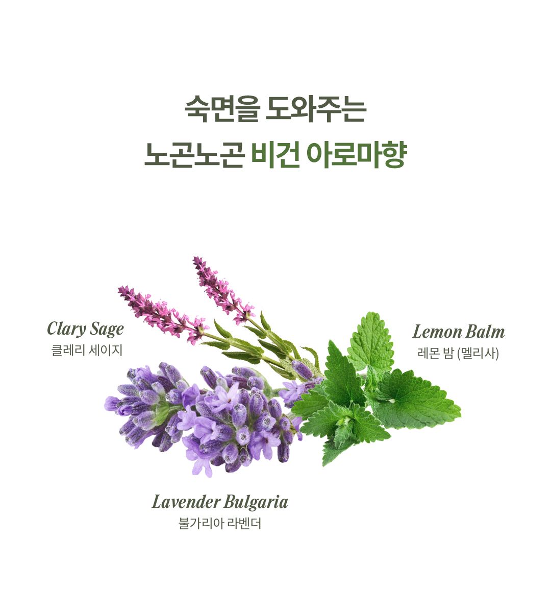 [체험단][무료배송] 올더퍼리 독 어반 그리너리 컴포팅 스파 샴푸 300ml 9번째