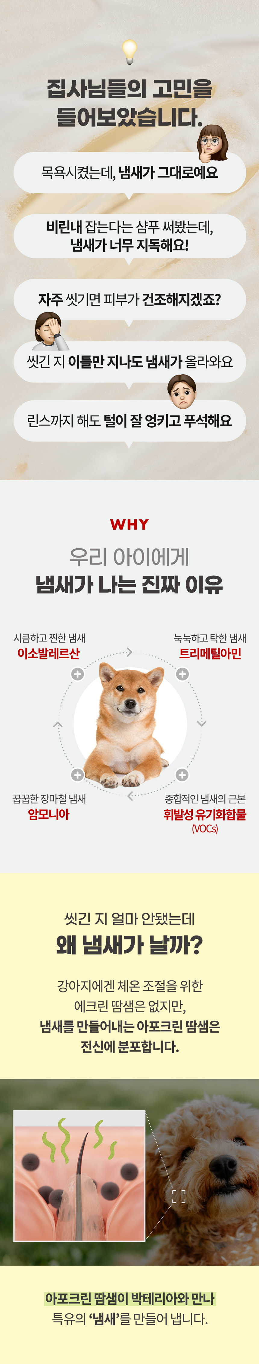 [NEW신상][무료배송] 데일리 릴리프 비건 올인원 샴푸 300ml 4번째
