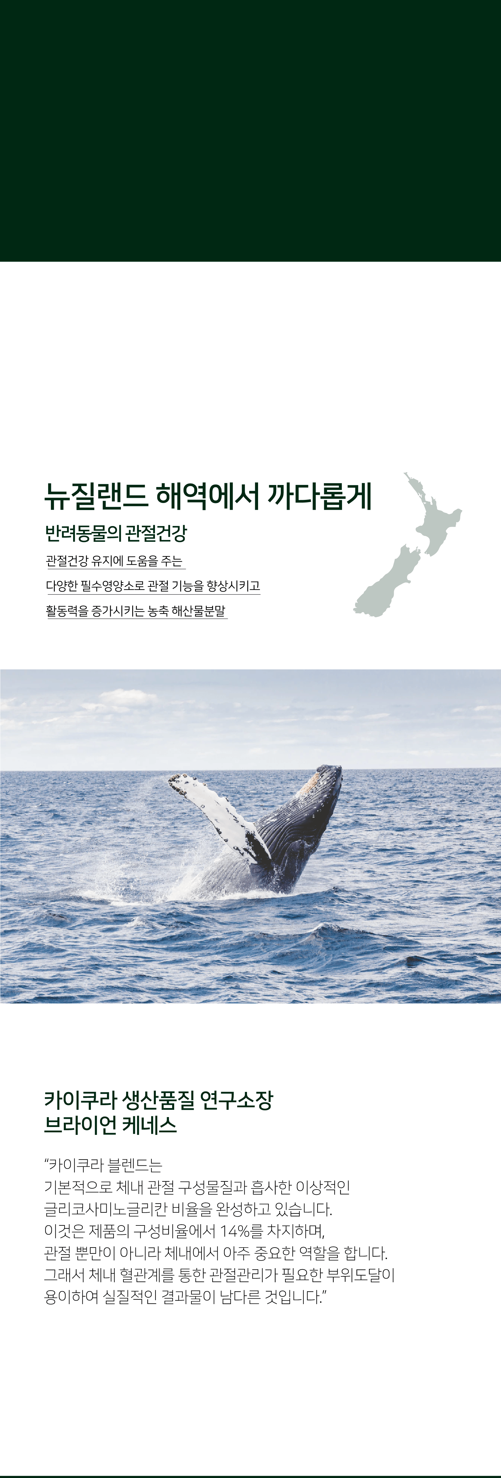 [유통기한임박, 26년5월31일] 카이쿠라 블렌드 60g 3번째