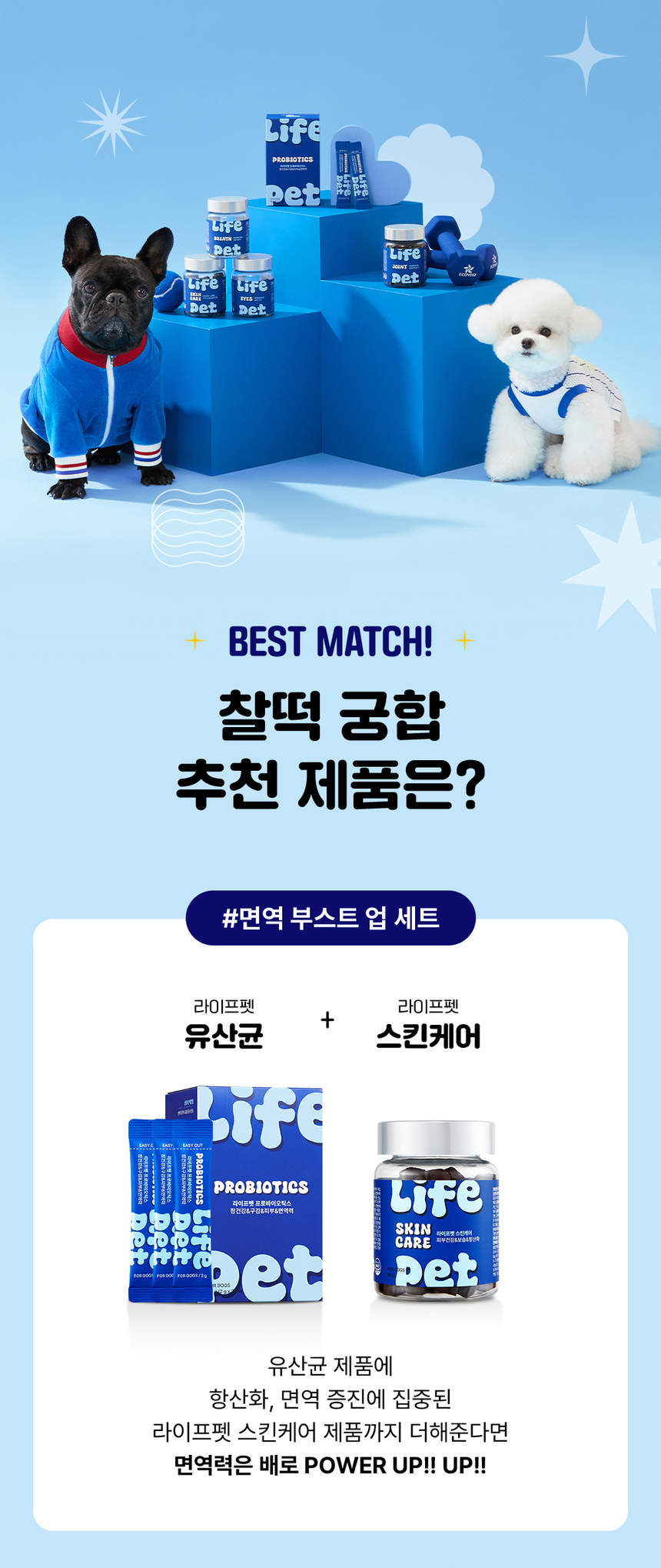 [무료배송] 라이프펫 강아지 유산균 면역영양제 프로바이오틱스 60g 34번째