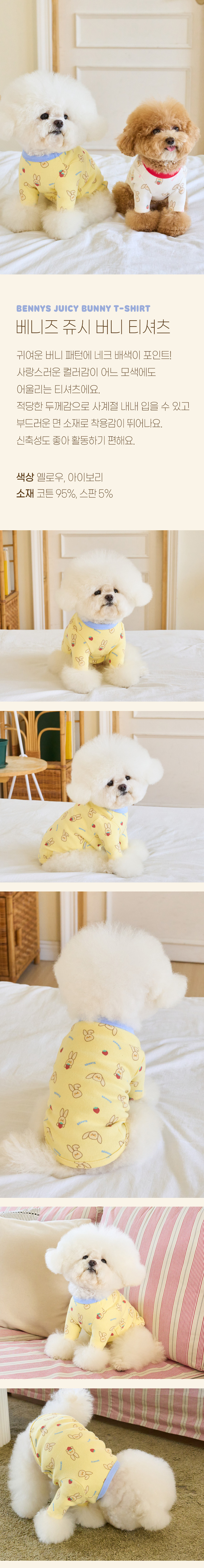 [무료배송] 베니즈 쥬시 버니 티셔츠 옐로우 S-XL 1번째