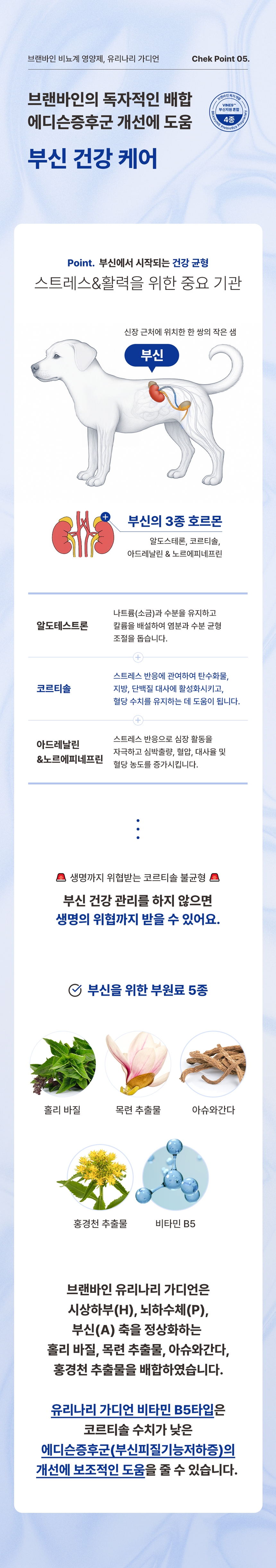 [무료배송] 브랜바인 유리나리 가디언 신장영양제 비타민B5 에디슨증후군 90일분 11번째 상세 이미지