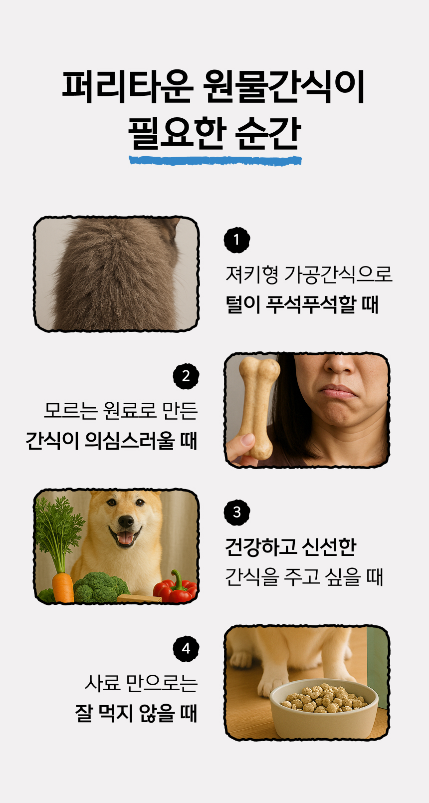 [NEW신상][무료배송] 퍼리타운 동결건조 북어 40g 8번째