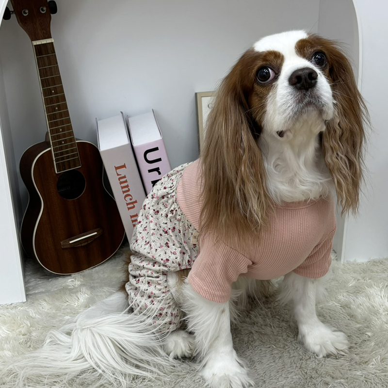 [무료배송] 해피댕댕 꽃내복올인원 S - 2XL 3번째