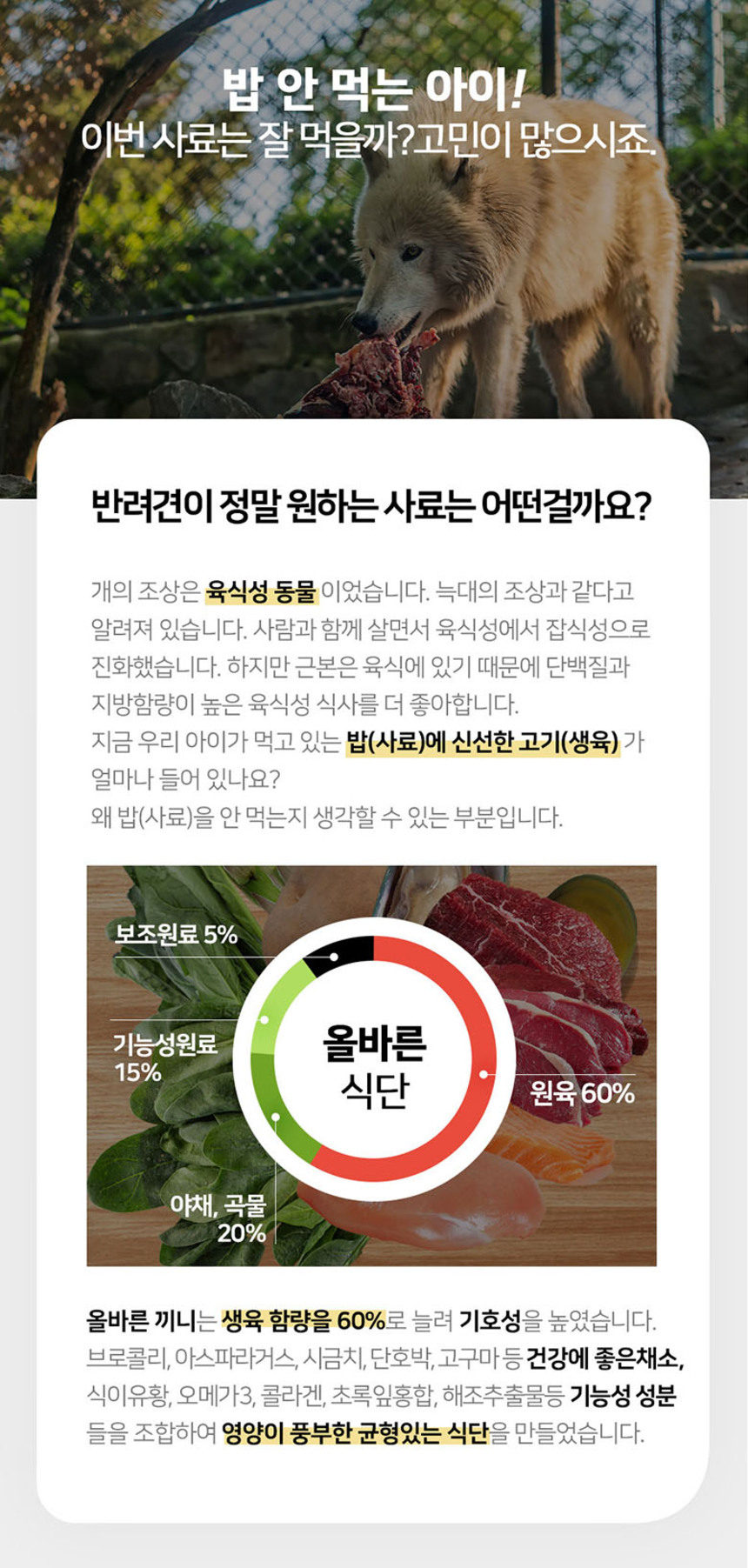 [NEW신상][무료배송] 올바른끼니 플러스 3종 샘플 맛보기 150g 17번째