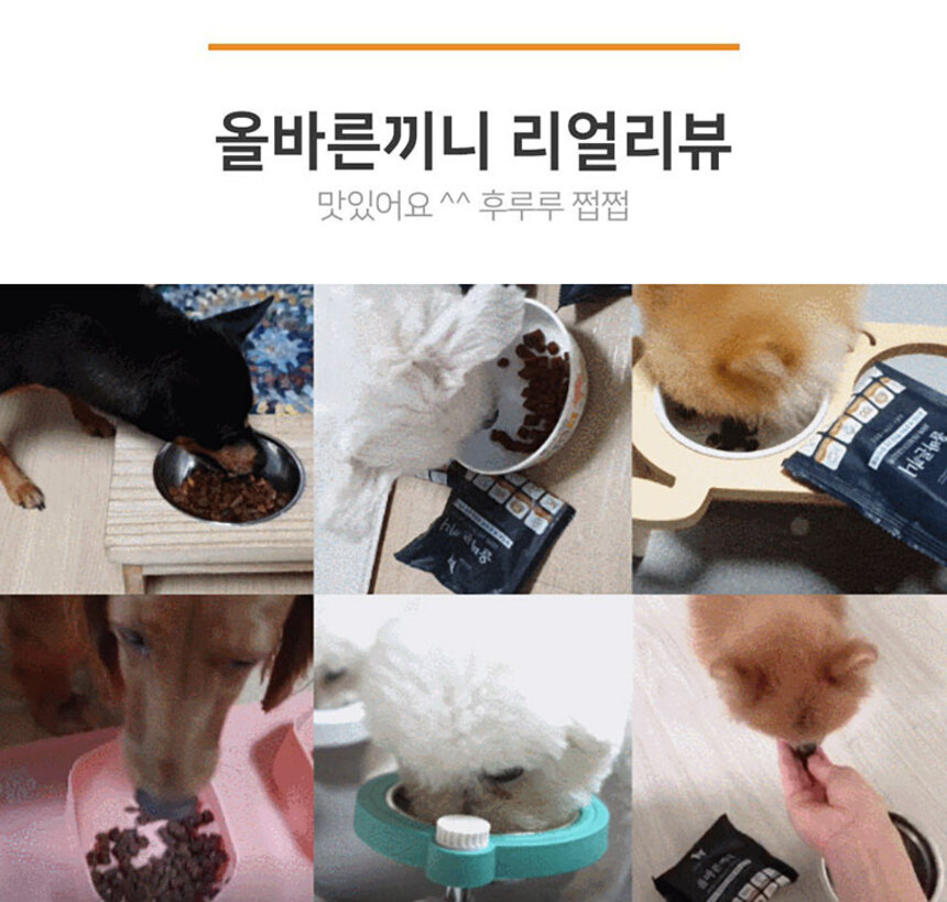 [NEW신상][무료배송] 올바른끼니 플러스 3종 샘플 맛보기 150g 14번째