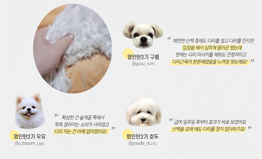 [NEW신상][무료배송] 올바른끼니 플러스 3종 샘플 맛보기 150g 11번째