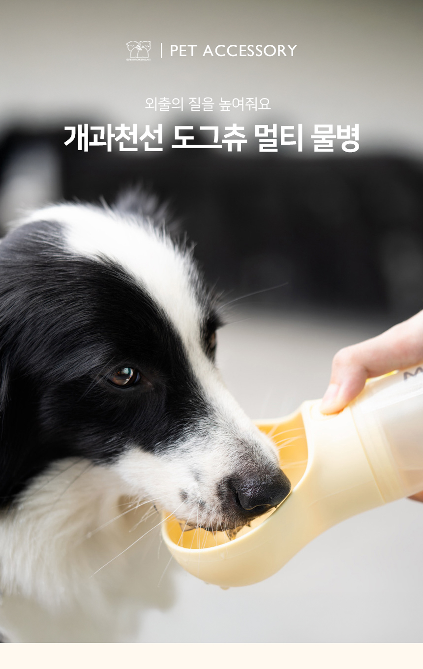 [NEW신상][무료배송] 개과천선 도그츄 멀티 물병 (스위트 레몬/스위트 메론) 1번째