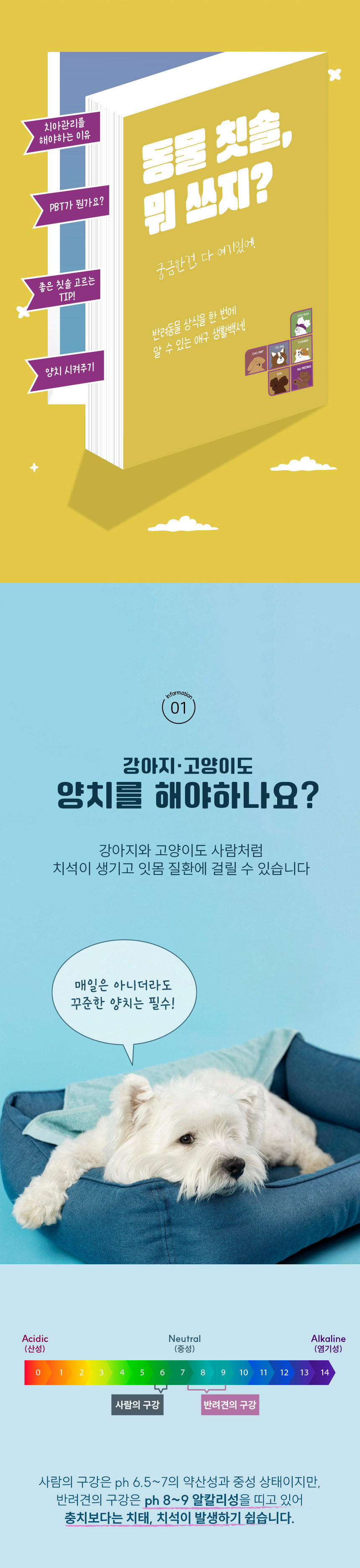 [무료배송] [10개] 애구애구 미세모 칫솔 4번째