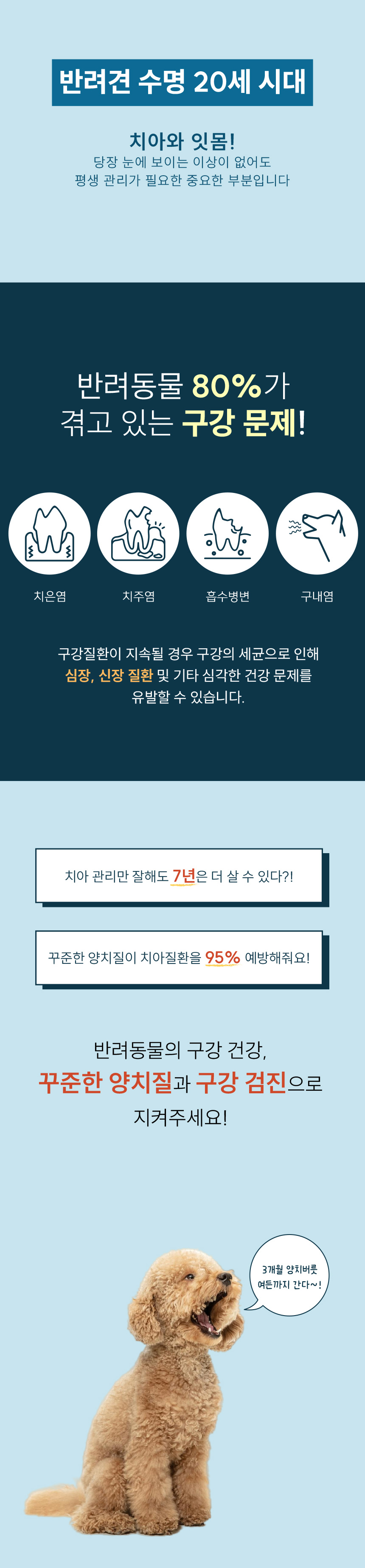 [무료배송] [10개] 애구애구 미세모 칫솔 5번째