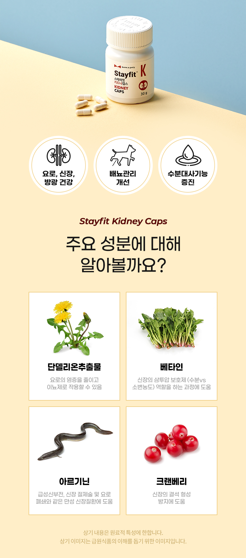 [무료배송] 본아페티 키드니캡스 강아지 신장 영양제 노령견 애견 영양제 신장결석 신부전 60정 8번째