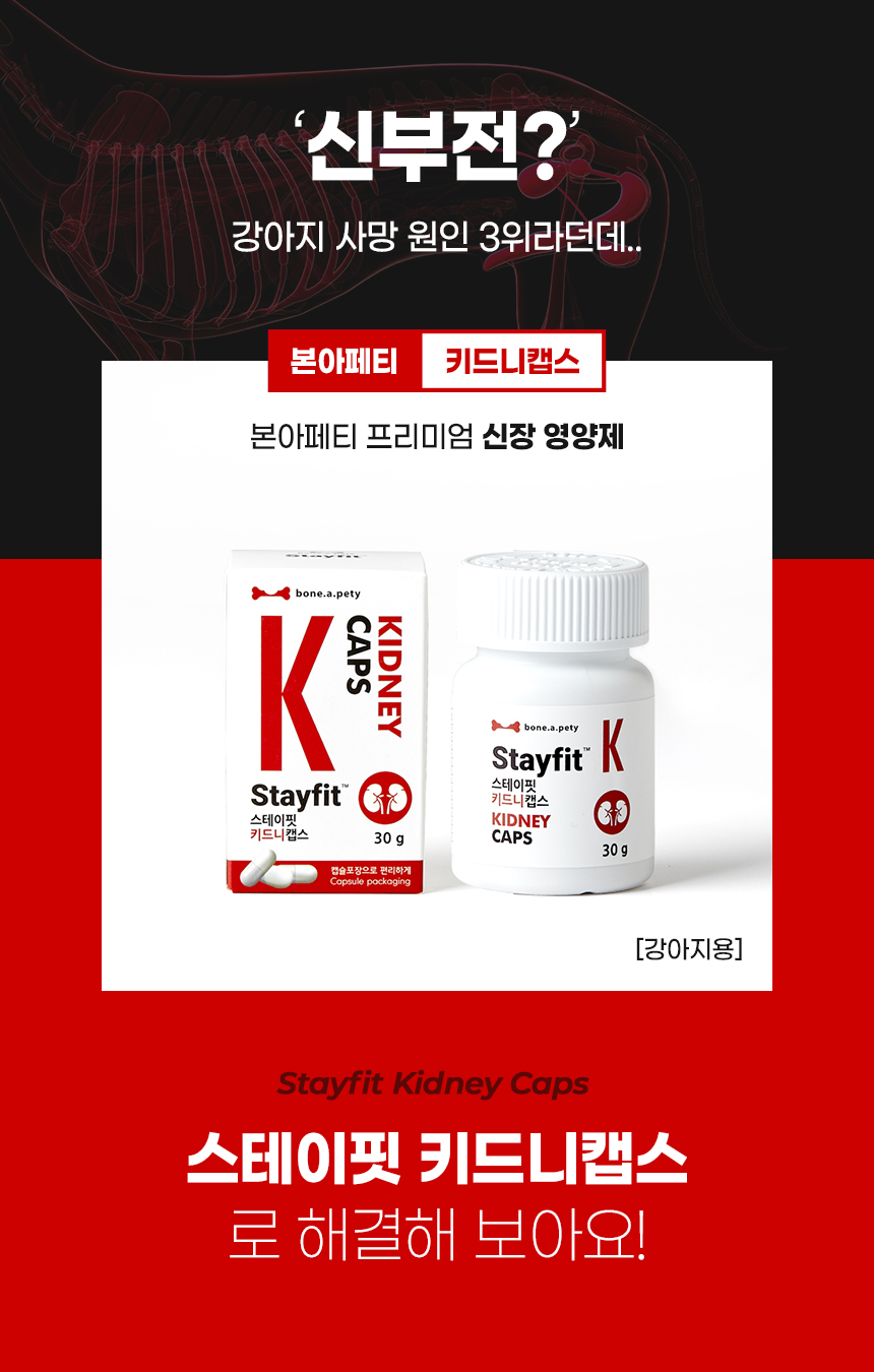 [무료배송] 본아페티 키드니캡스 강아지 신장 영양제 노령견 애견 영양제 신장결석 신부전 60정 5번째