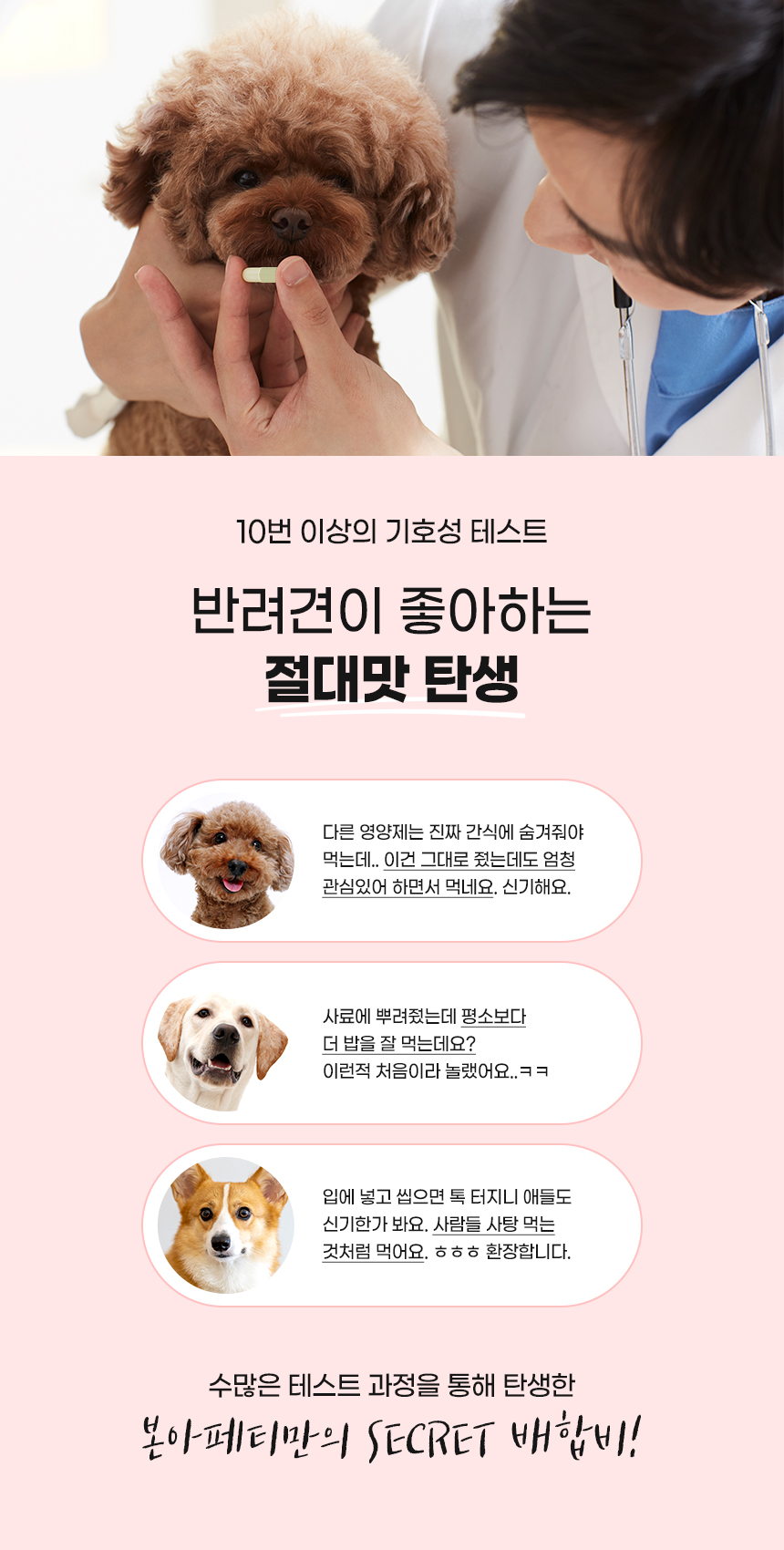 [무료배송] 본아페티 키드니캡스 강아지 신장 영양제 노령견 애견 영양제 신장결석 신부전 60정 11번째