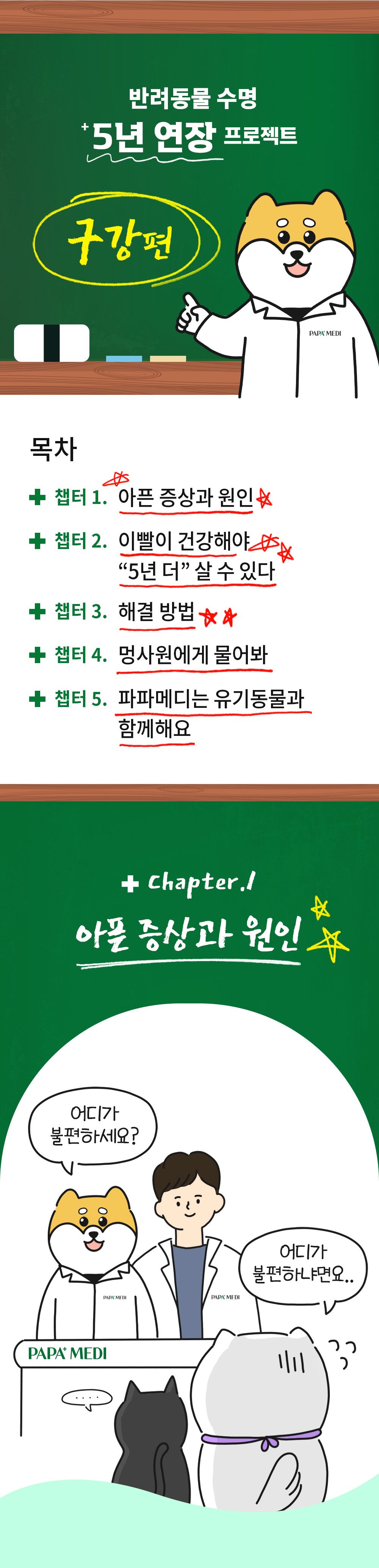 [무료배송] 파파메디 메디덴탈 치아 잇몸 영양제 치석제거 2g*30p 4번째