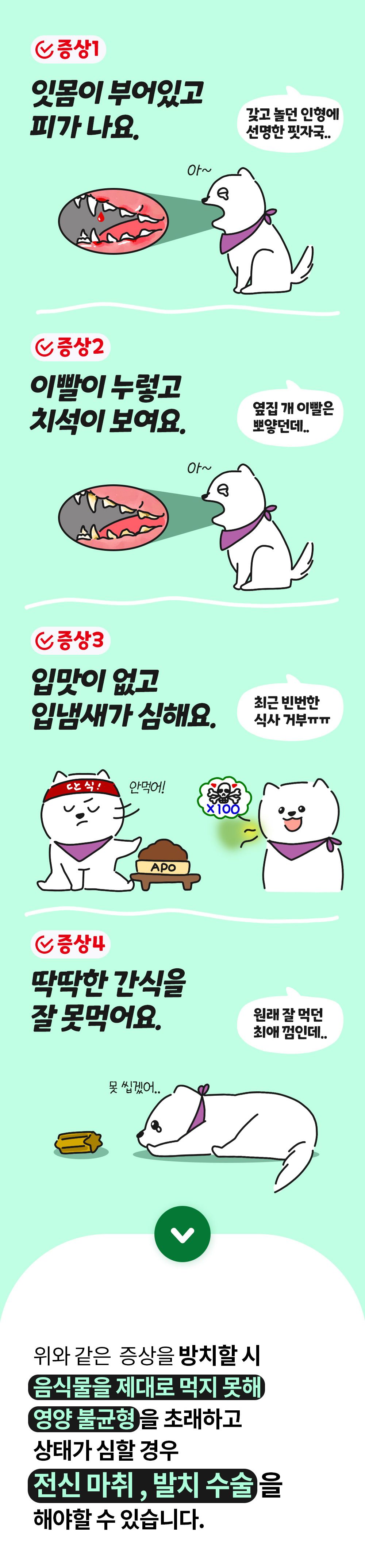 [무료배송] 파파메디 메디덴탈 치아 잇몸 영양제 치석제거 2g*30p 5번째
