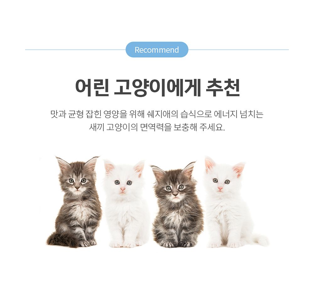[유통기한임박, 25년8월1일] 쉐지애 키튼케어 닭고기 무스 주식 캔 85g 6번째
