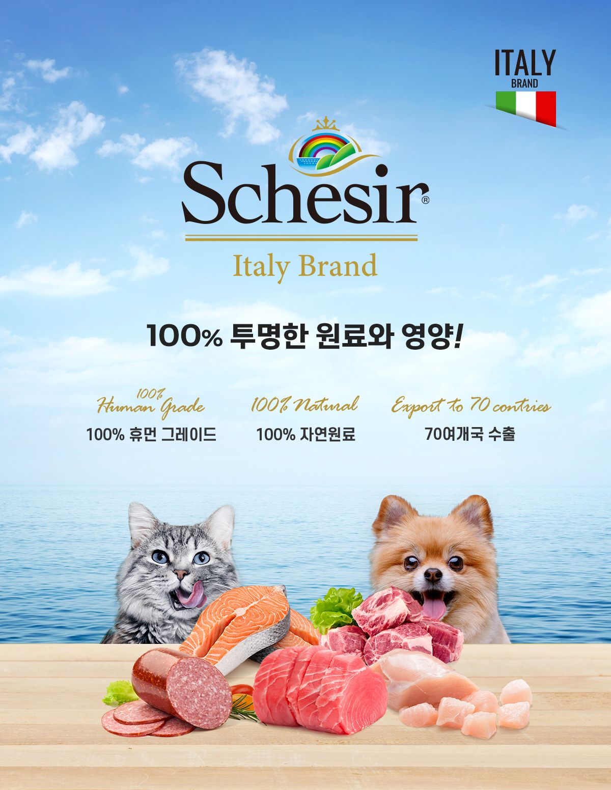 [유통기한임박, 25년8월1일] 쉐지애 키튼케어 닭고기 무스 주식 캔 85g 2번째