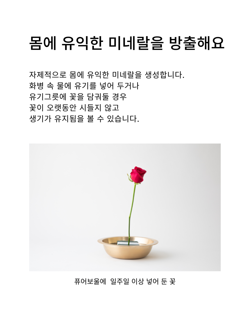 [NEW신상][무료배송] 장수연구소 방짜볼 (S/L) 15번째