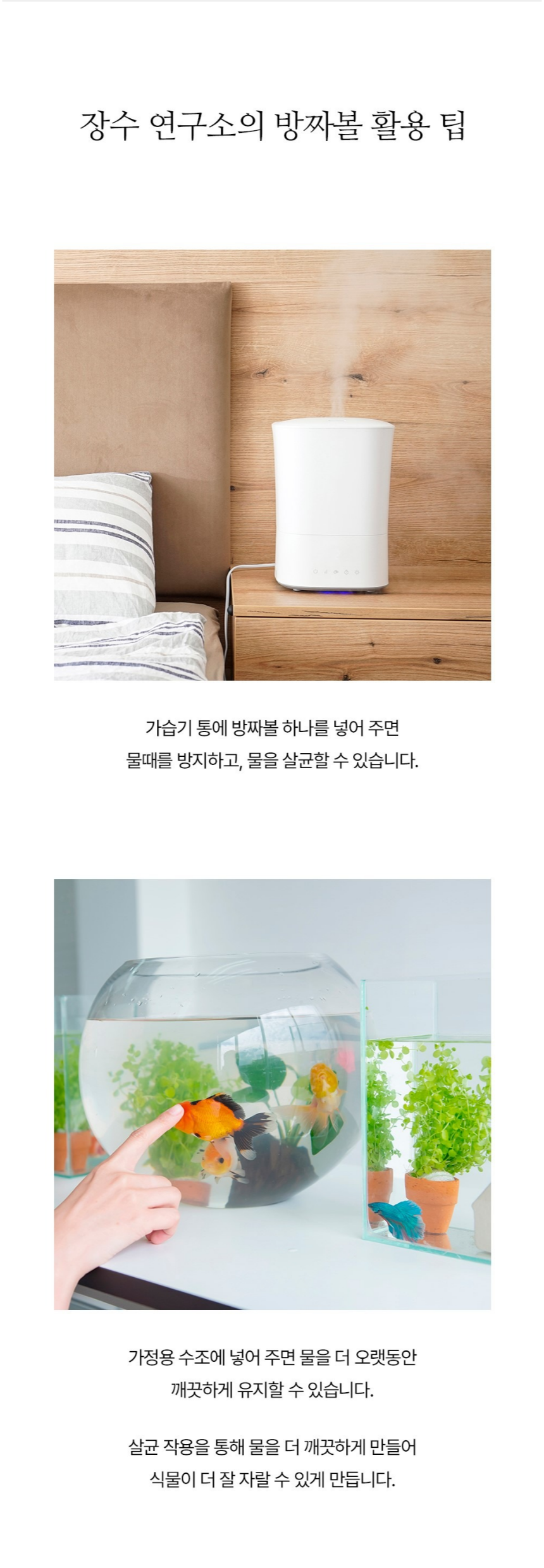 [NEW신상][무료배송] 장수연구소 방짜볼 (S/L) 19번째