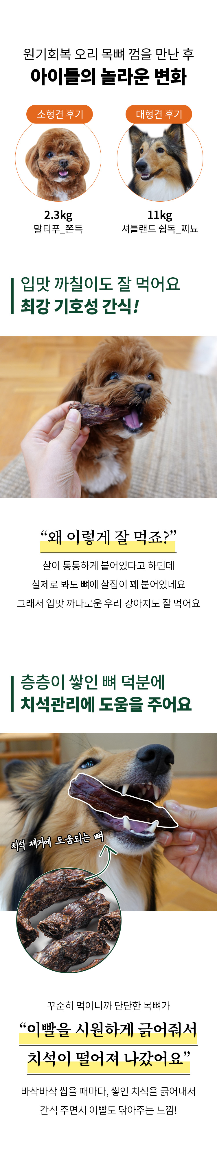 [NEW신상][무료배송] 펫쉴드 독 오리 목뼈 껌 2번째