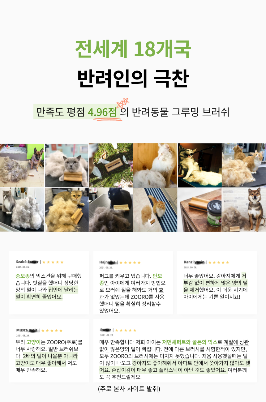 [체험단] [무료배송] ZOORO 주로 미니 그루밍 브러쉬  3번째