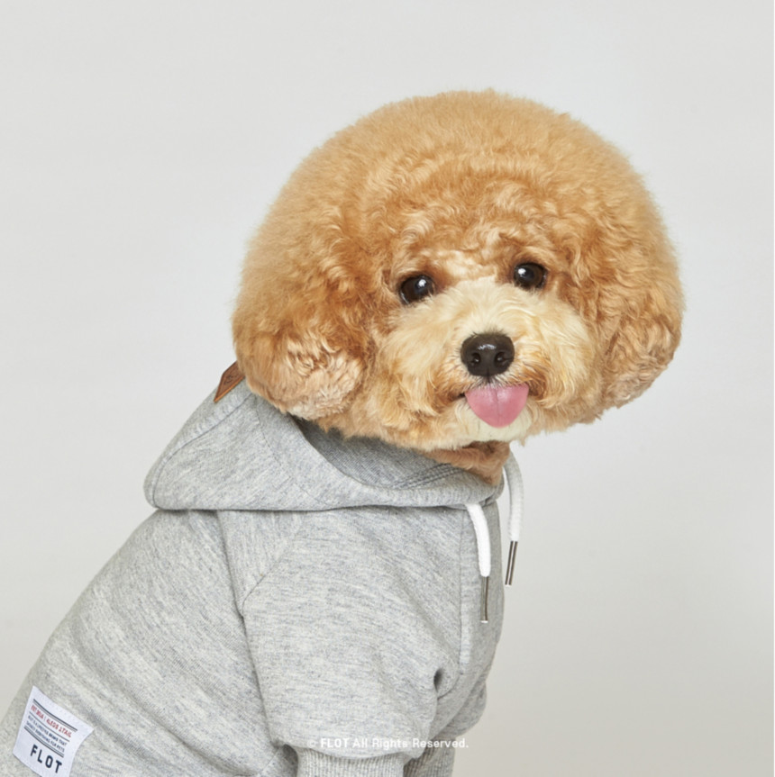 [NEW신상] [무료배송] 플로트 스탠다드 후드 6컬러 (S-2XL) 6번째