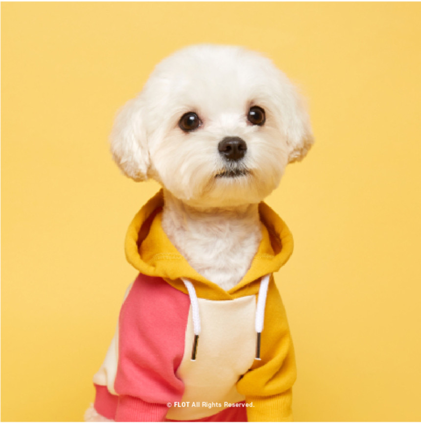 [NEW신상] [무료배송] 플로트 스탠다드 후드 6컬러 (S-2XL) 13번째