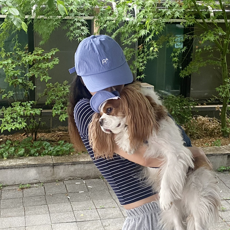 [무료배송] 해피댕댕 Aa모자 S-L 17번째